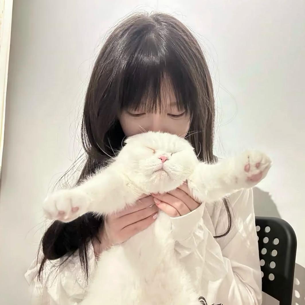 呆呆婷💕