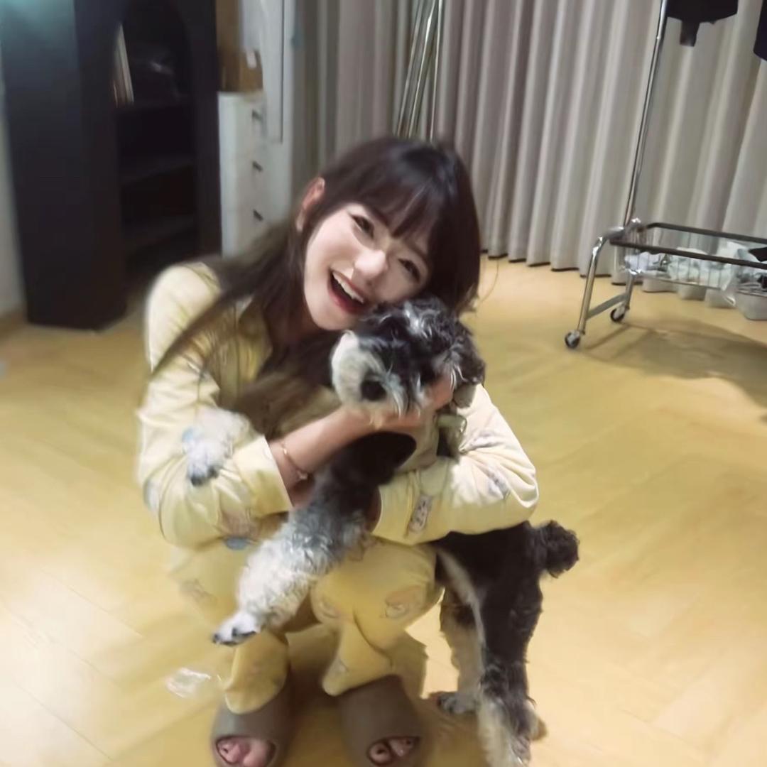 ㅤㅤ ㅤㅤ哎哟喂