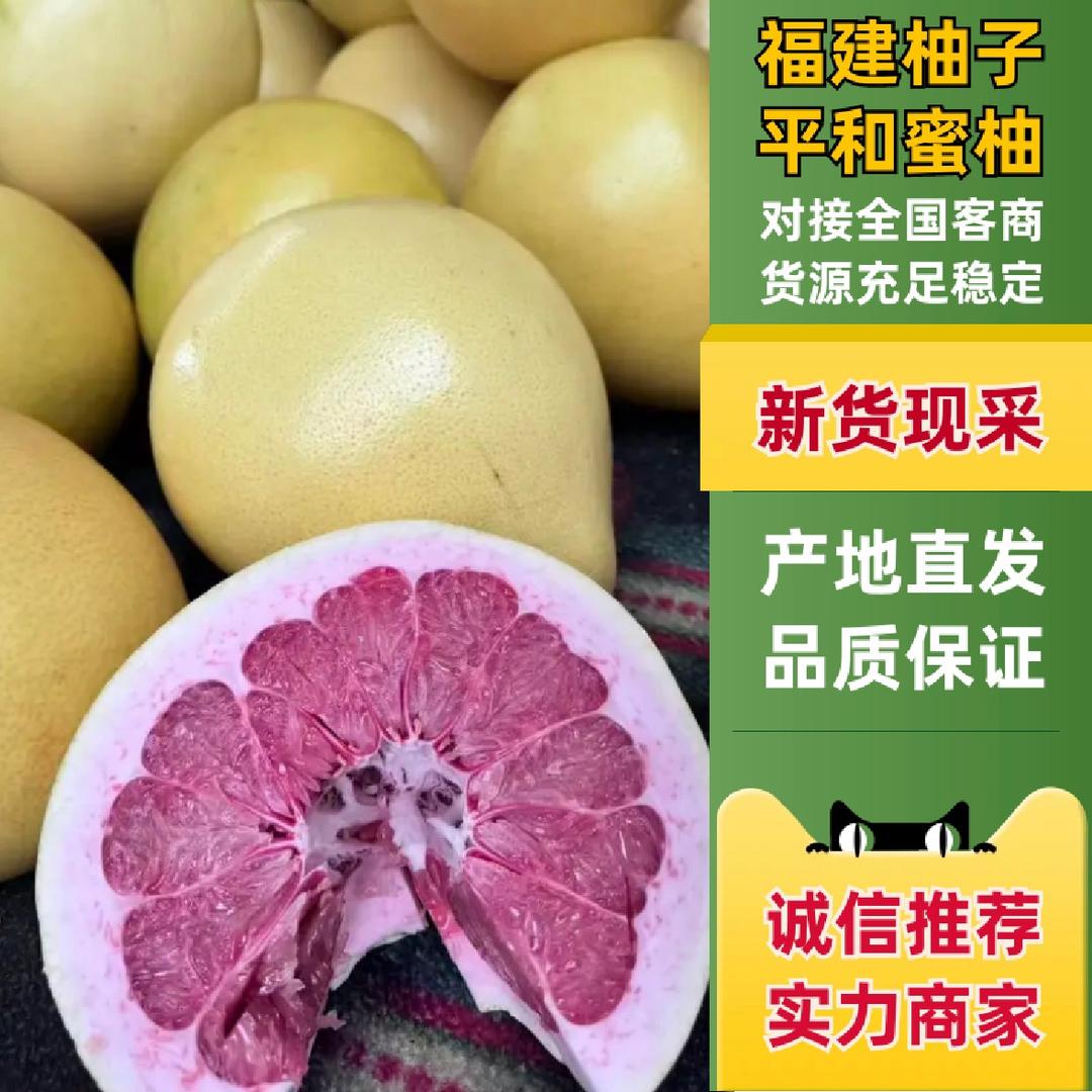 福建蜜柚供应链(小天)