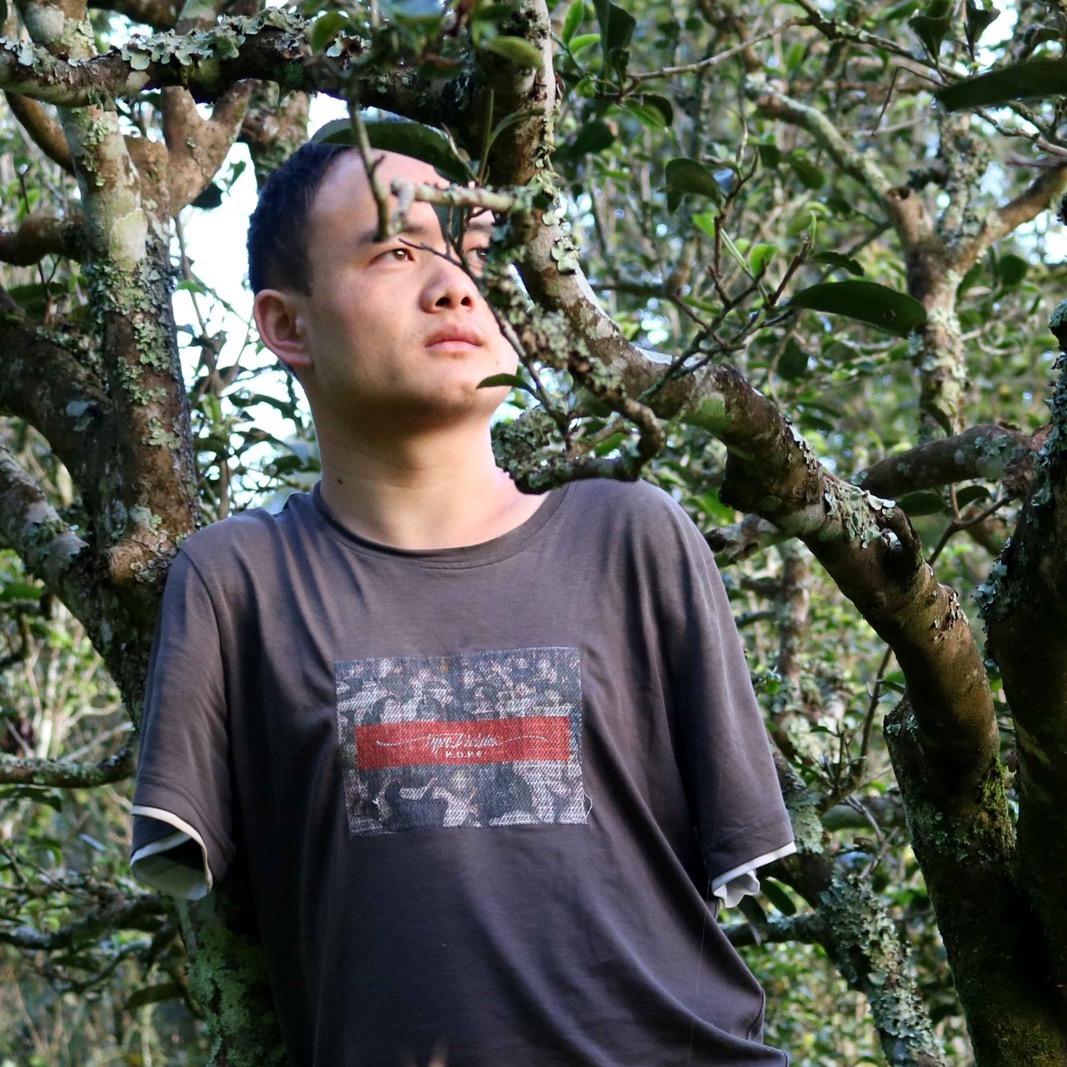 板扎云货