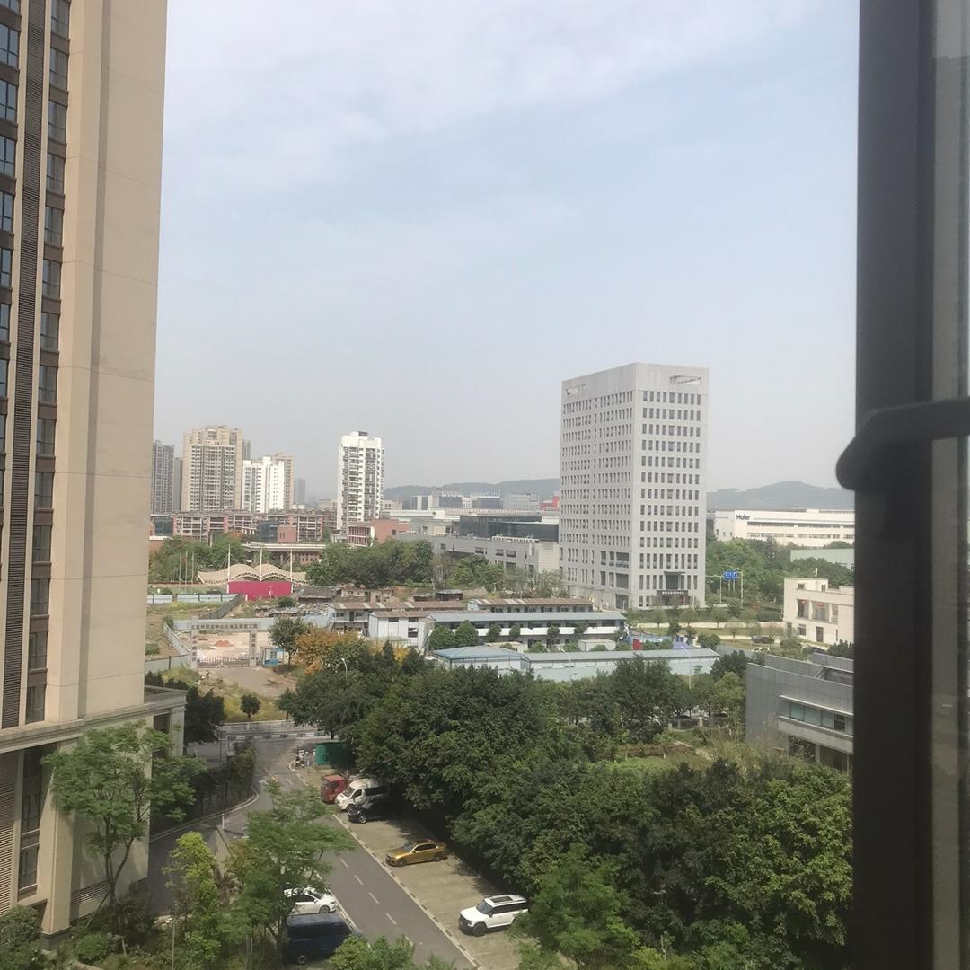 拼搏