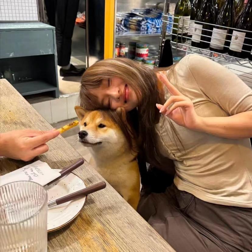 饼饼