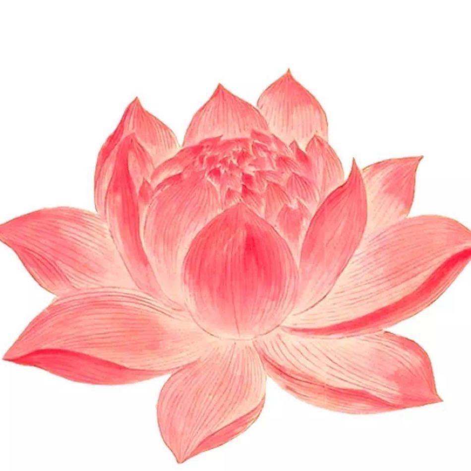 为什么要起床