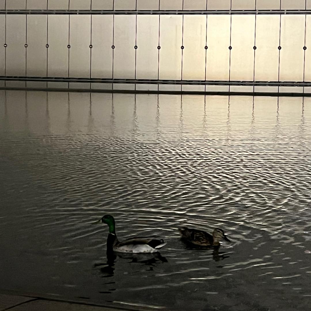 外卖大额优惠卷