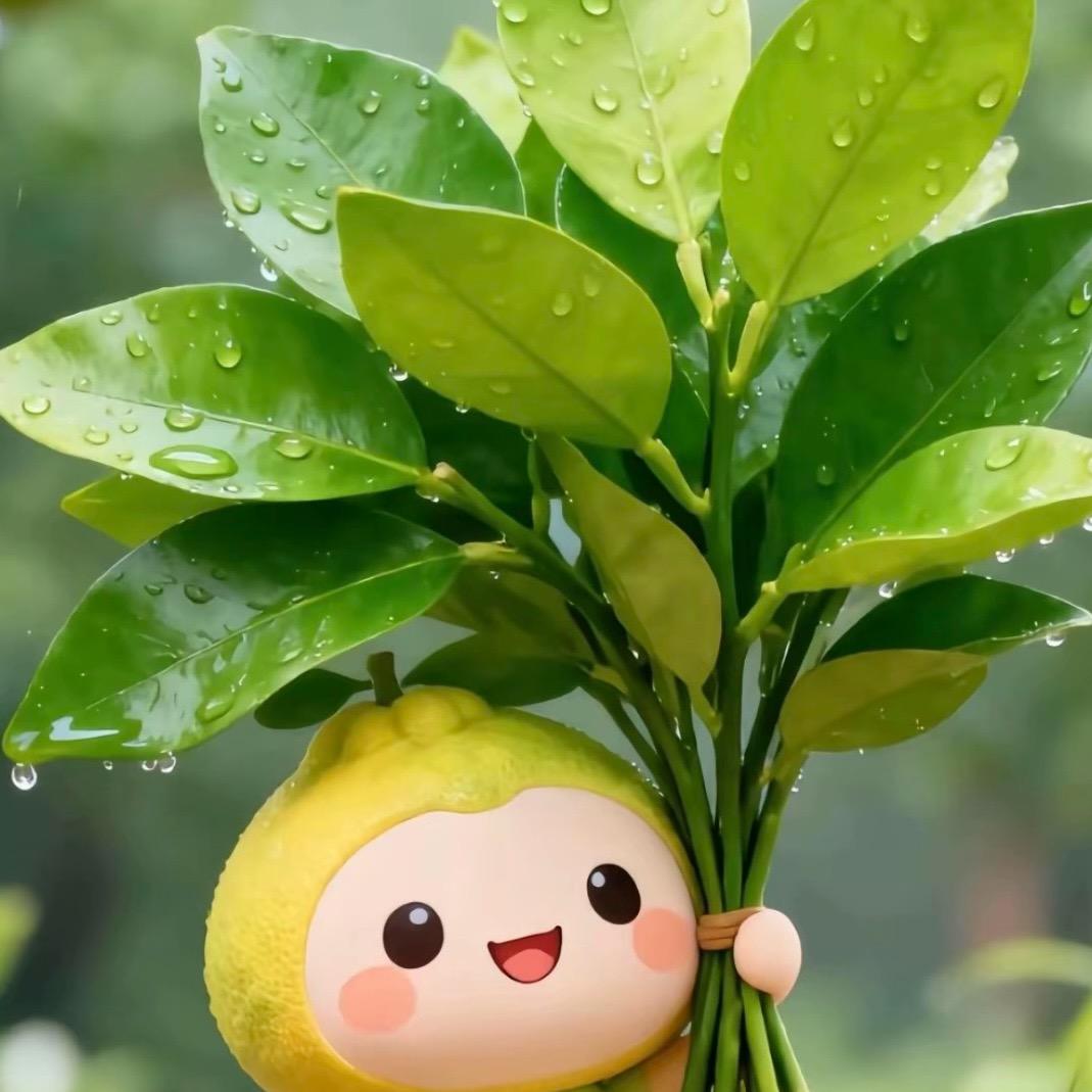 🕊꧔ꦿ᭄💞徐大小姐💞꧔ꦿ᭄🕊