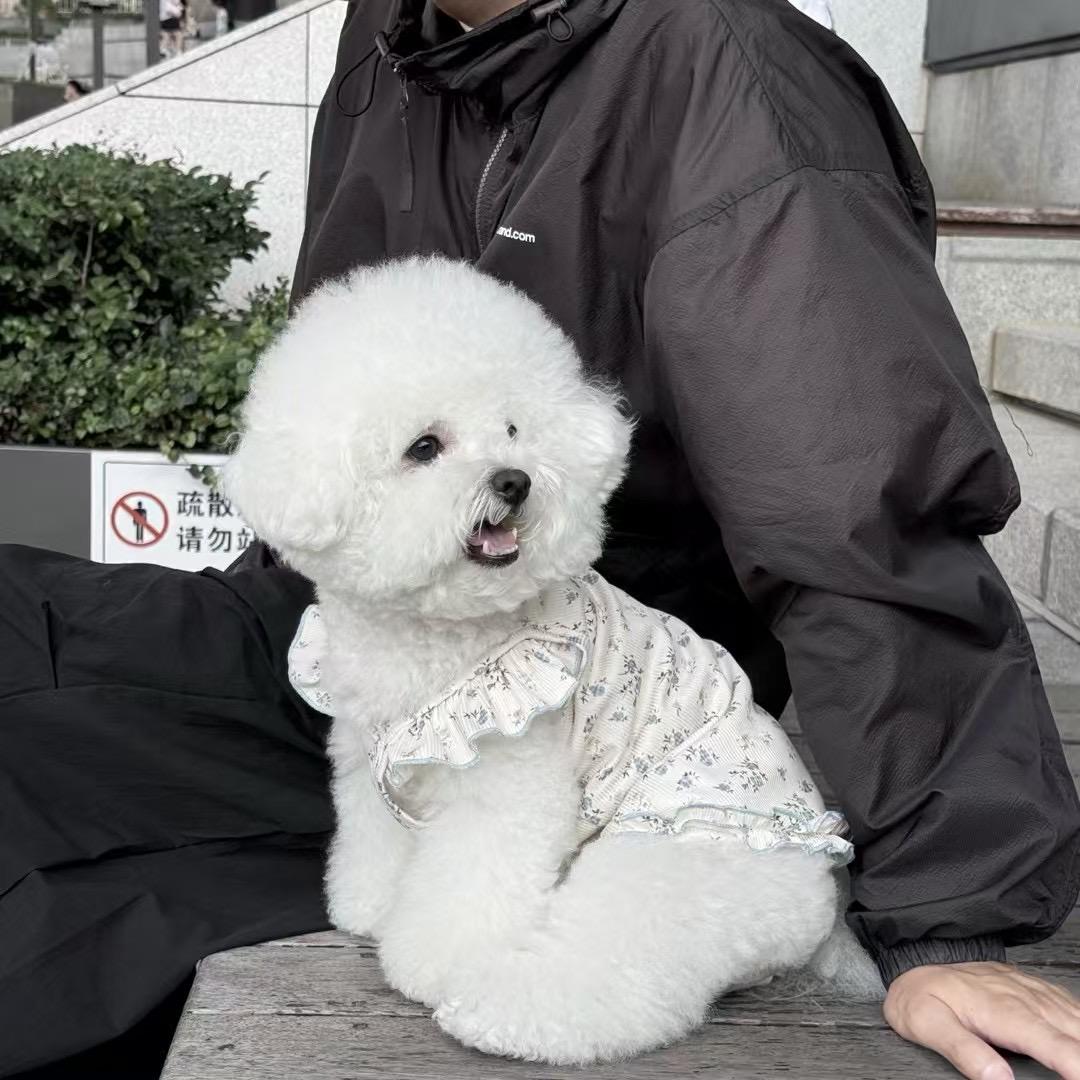Yuki日记