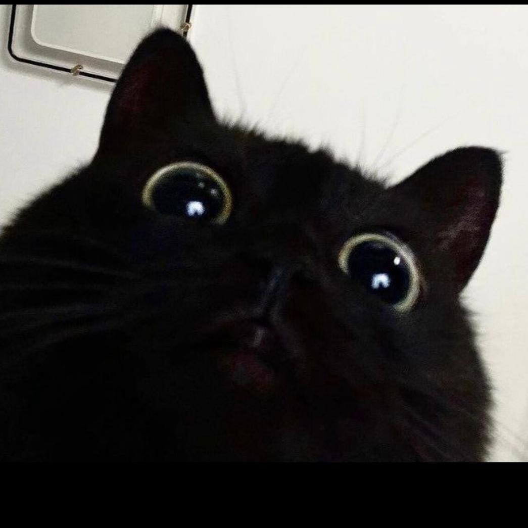 鱼uu