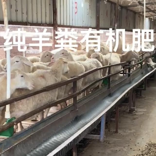 徐州百福纯羊粪有机肥