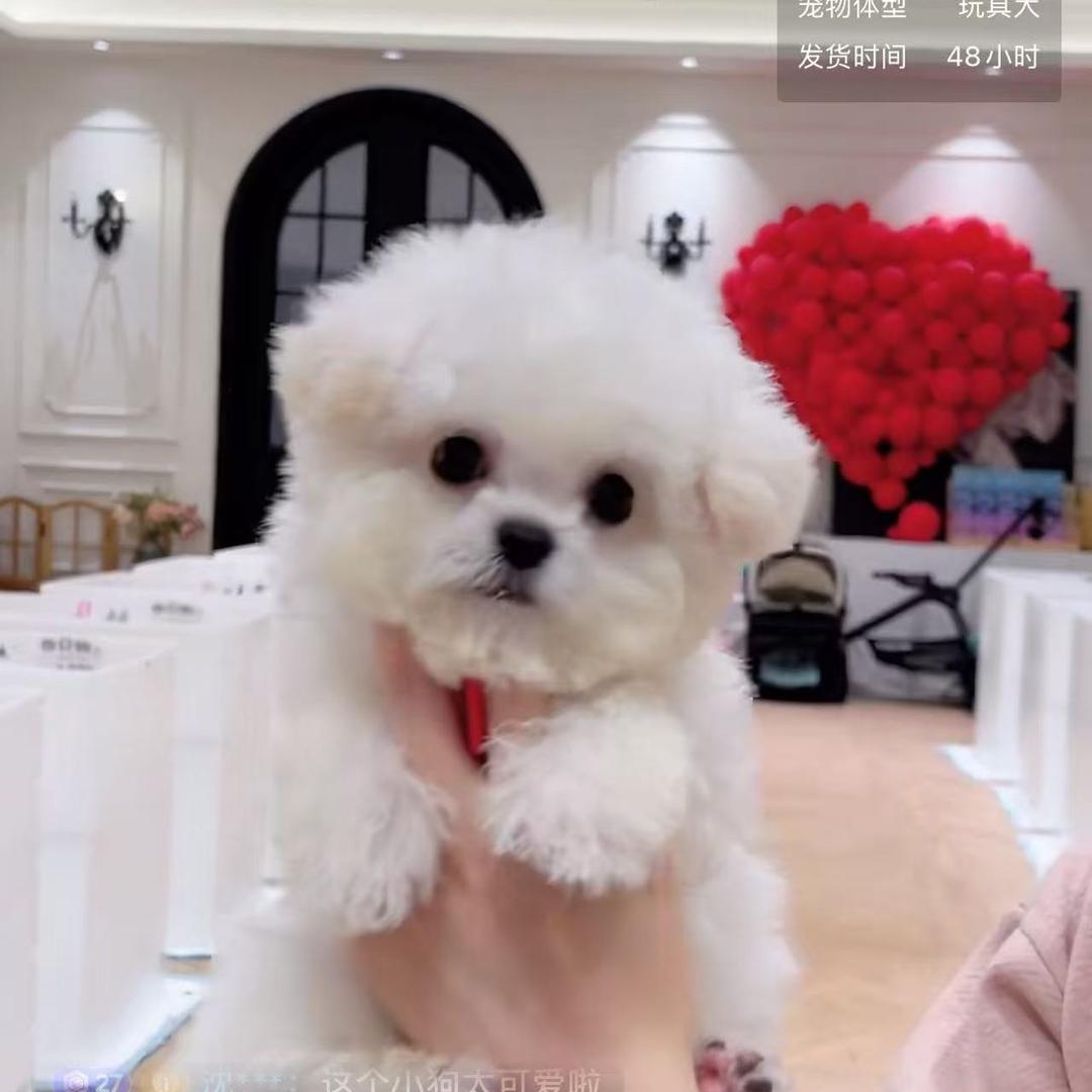 请叫我丹姐😍😍😍