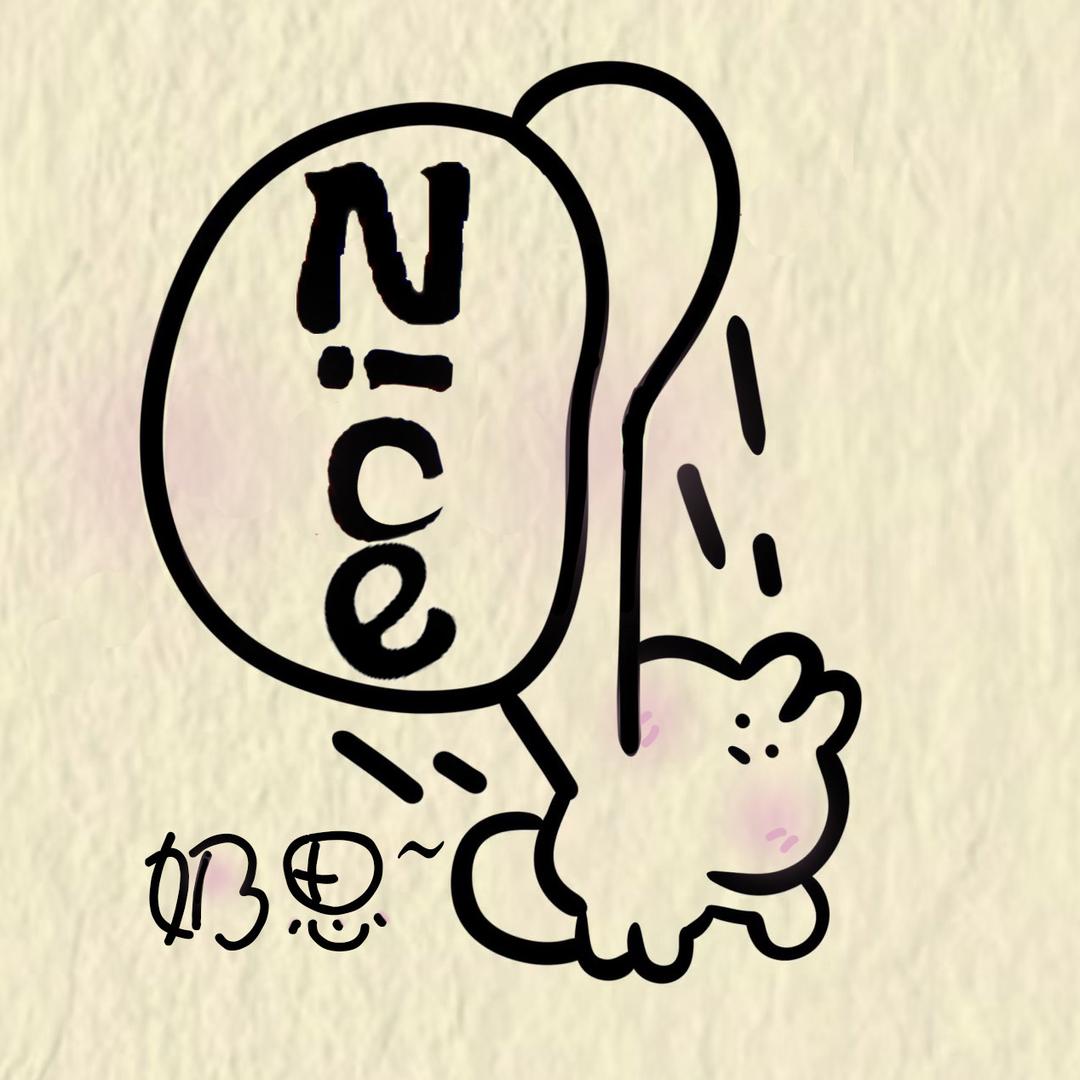 Nice 奶思小铺2号