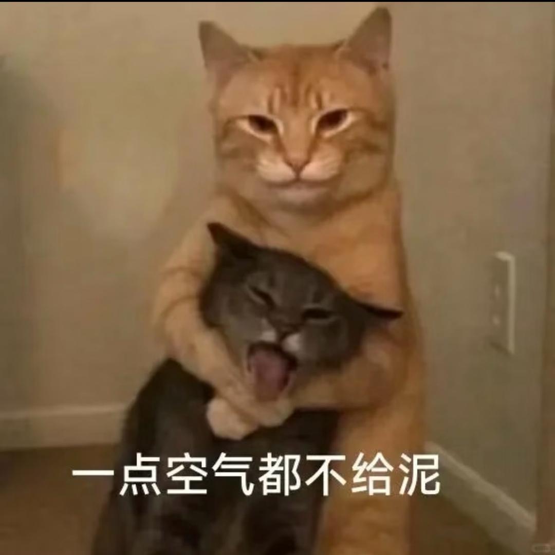 白日梦🎐小说家