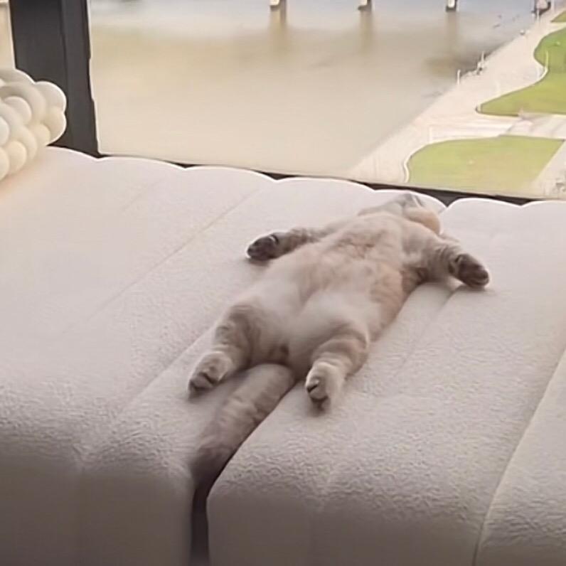 超人不会飞吗