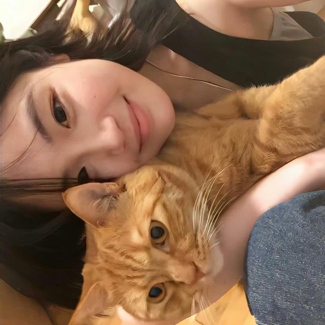 财财不熬夜💤
