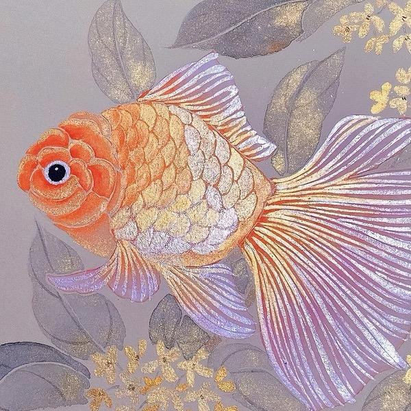 幸运秋秋