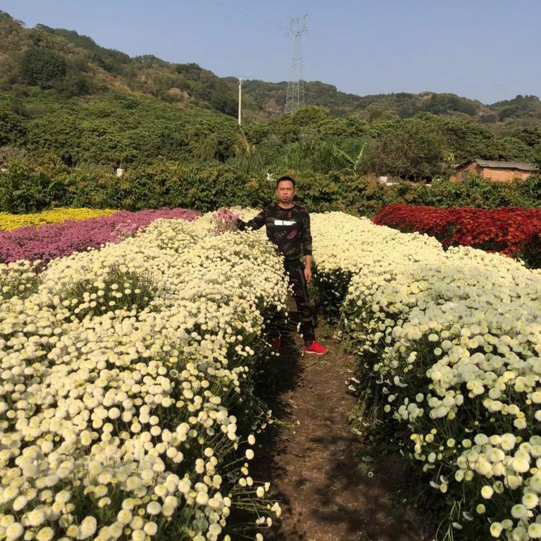 众旺百货