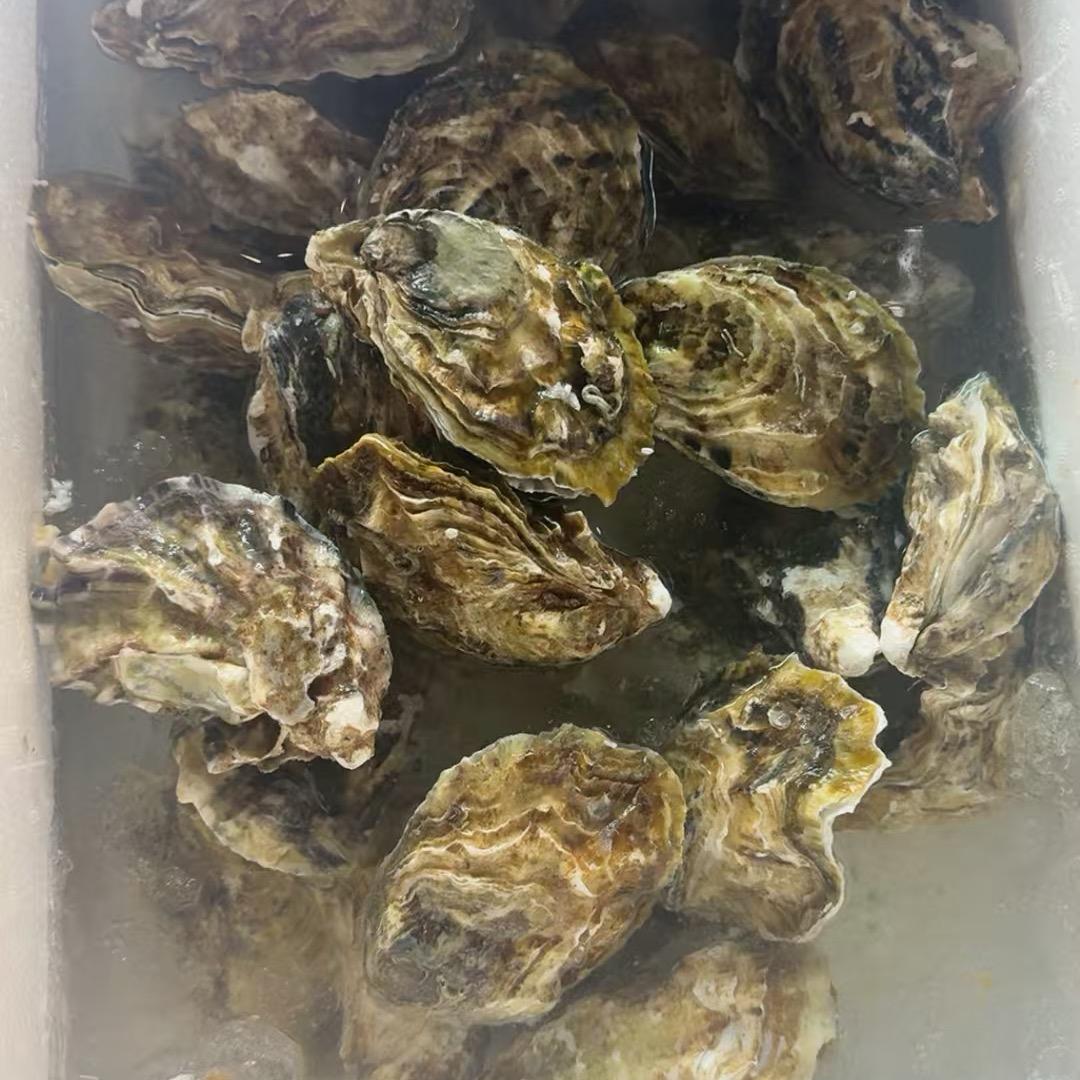 路边摊天花板-啊泽