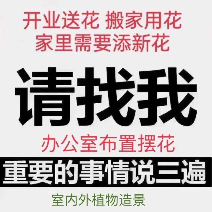郑州绿植花卉租售，庭院养护，景观设计