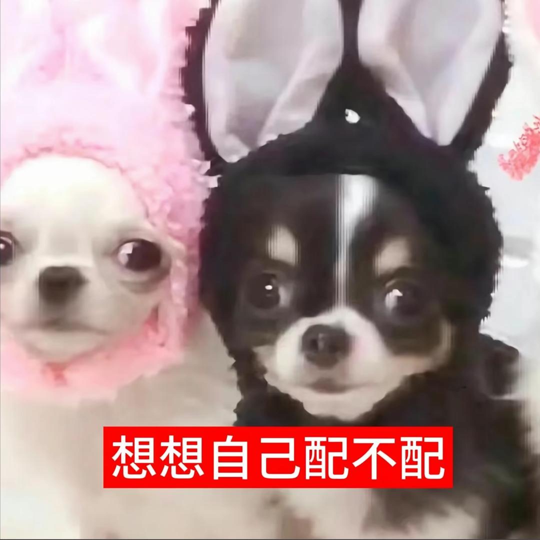老公站街我数钱