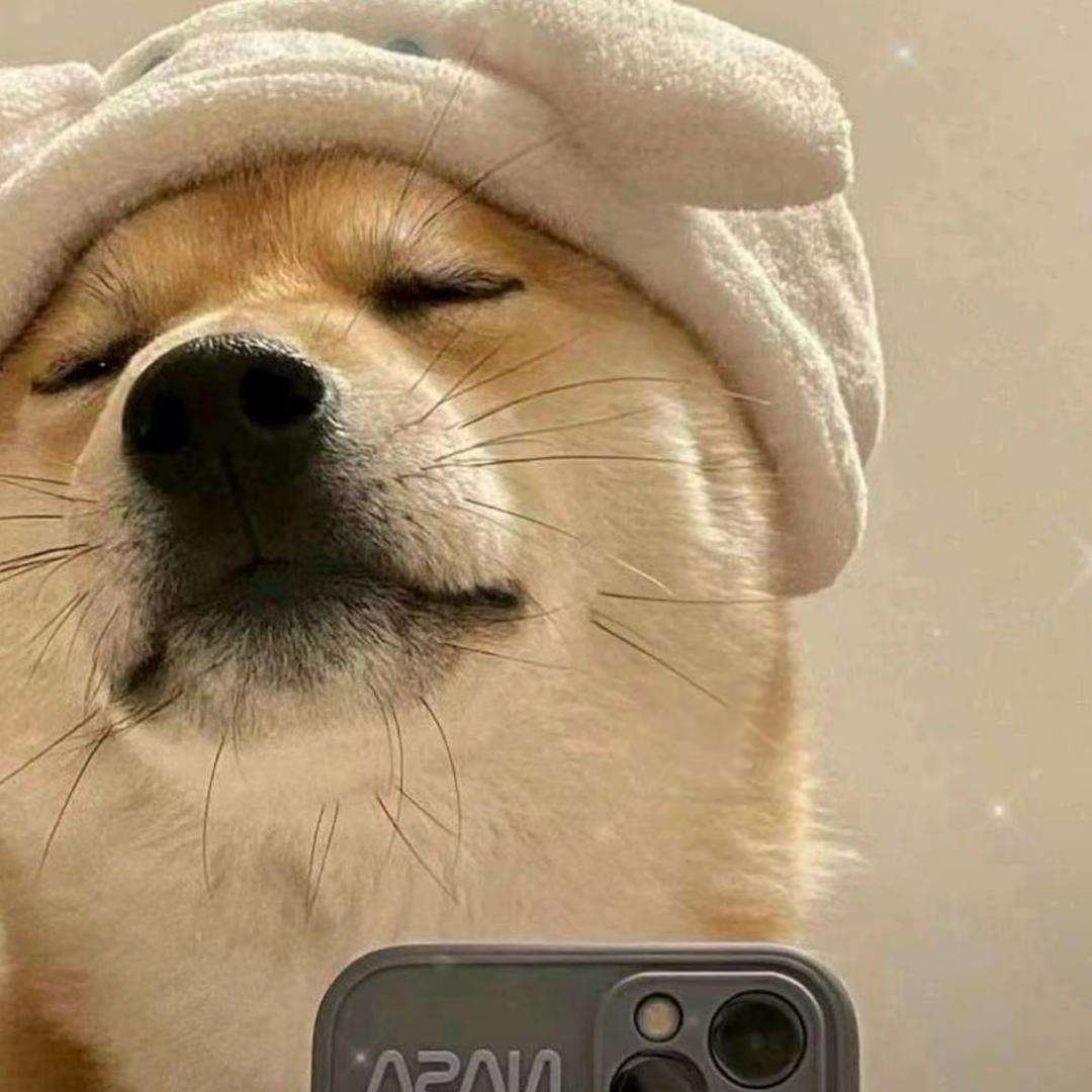 萌宠搞笑盘点