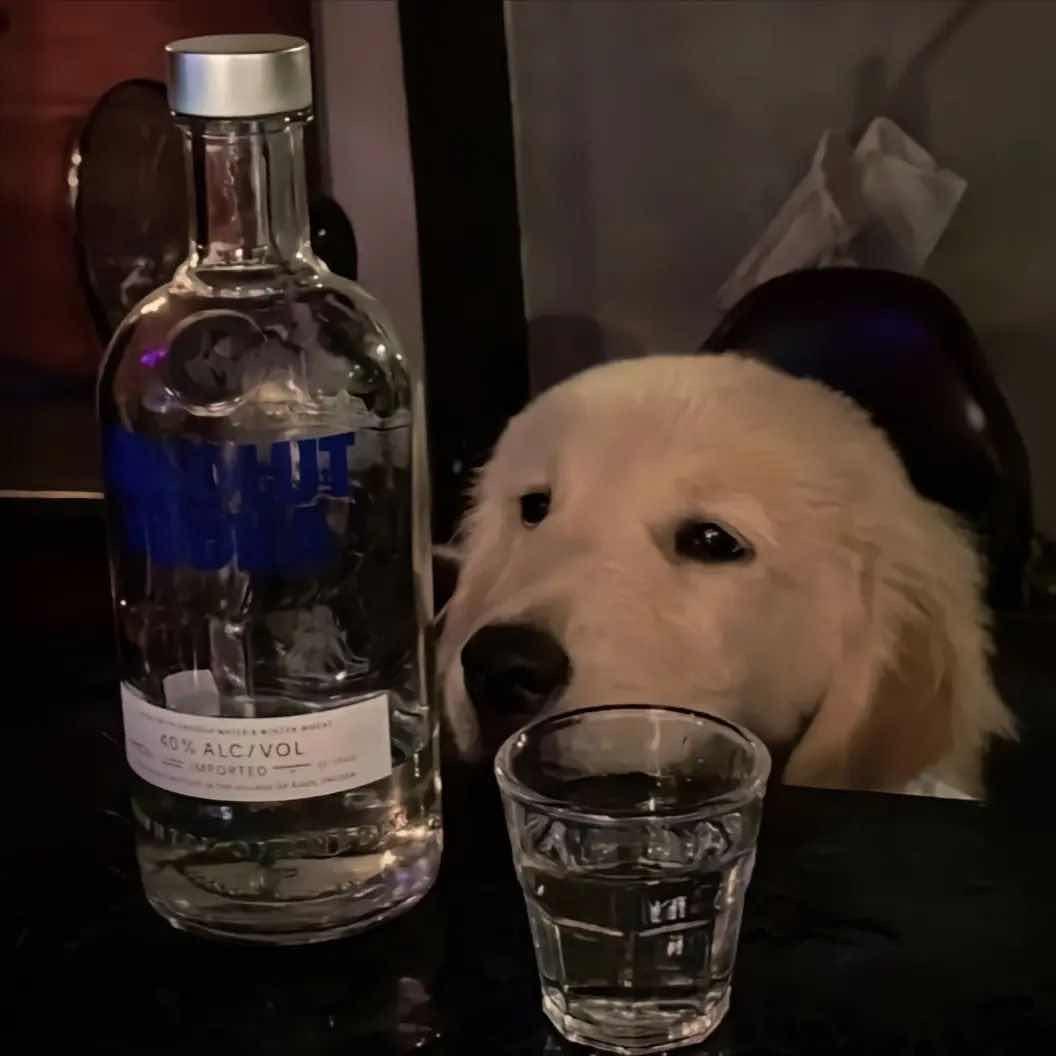 简羿