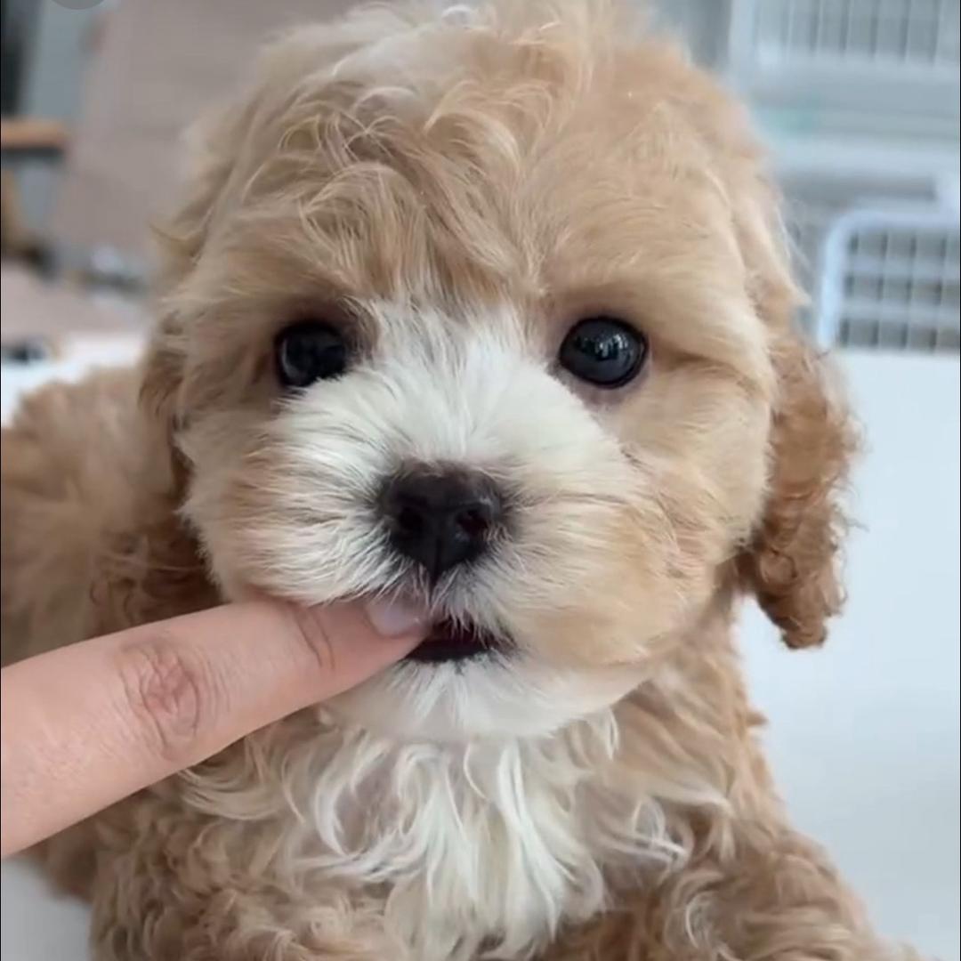 可口百万生活馆