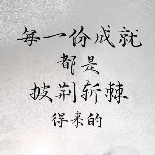 日照超电商