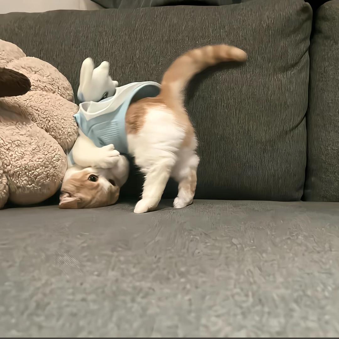 不知道起什么名字？