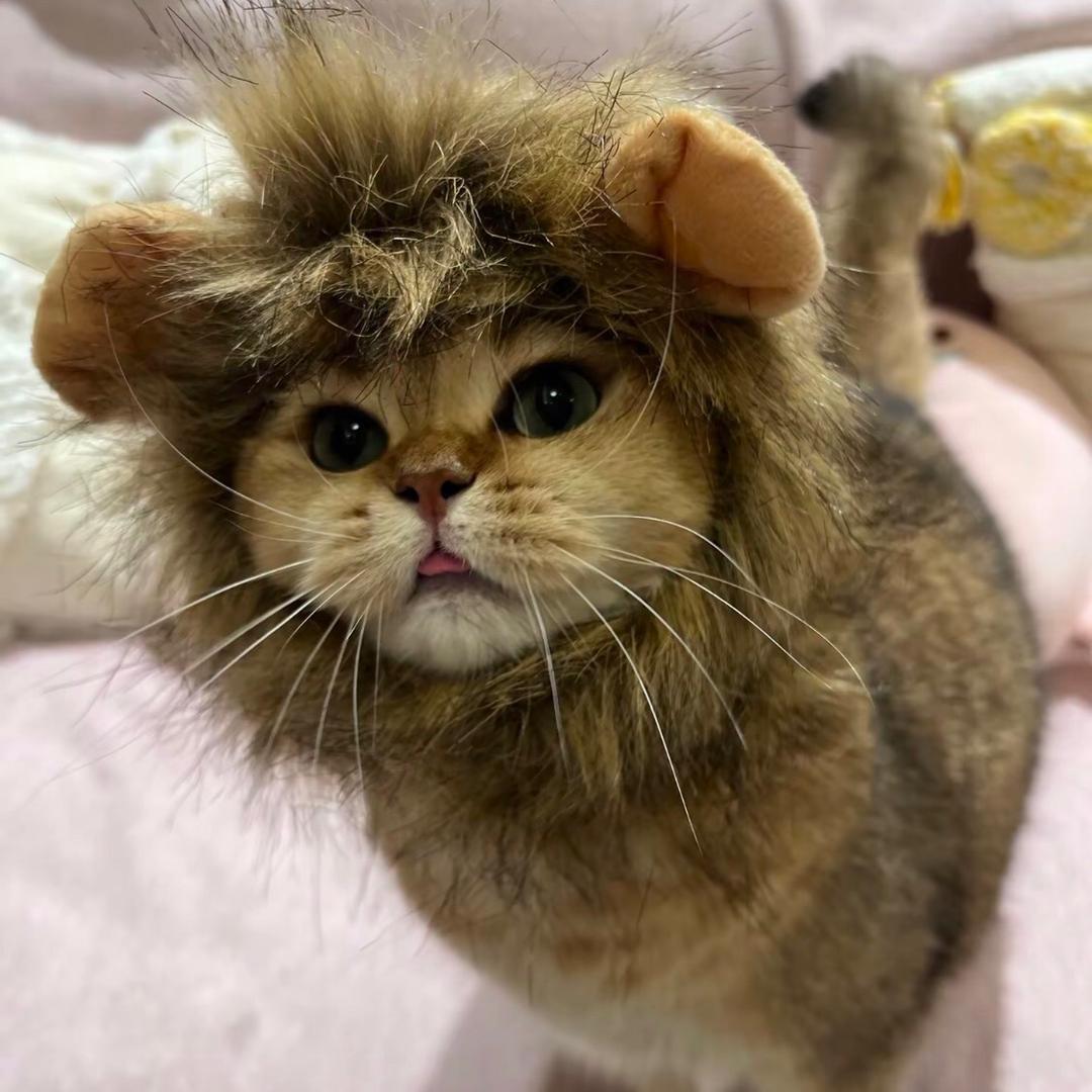 不拘