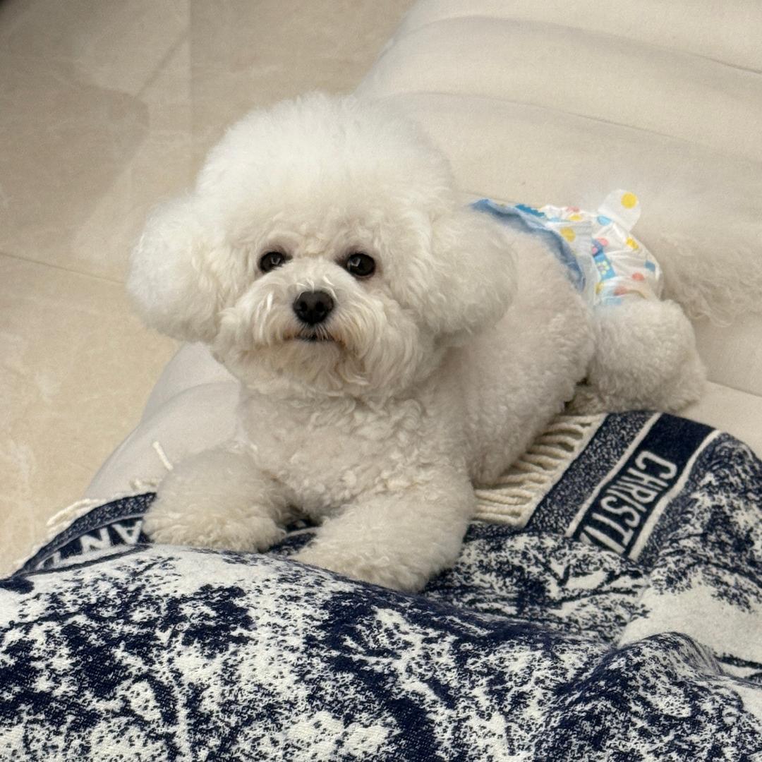 Nuomi