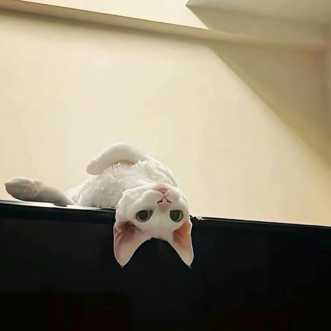 矽檐