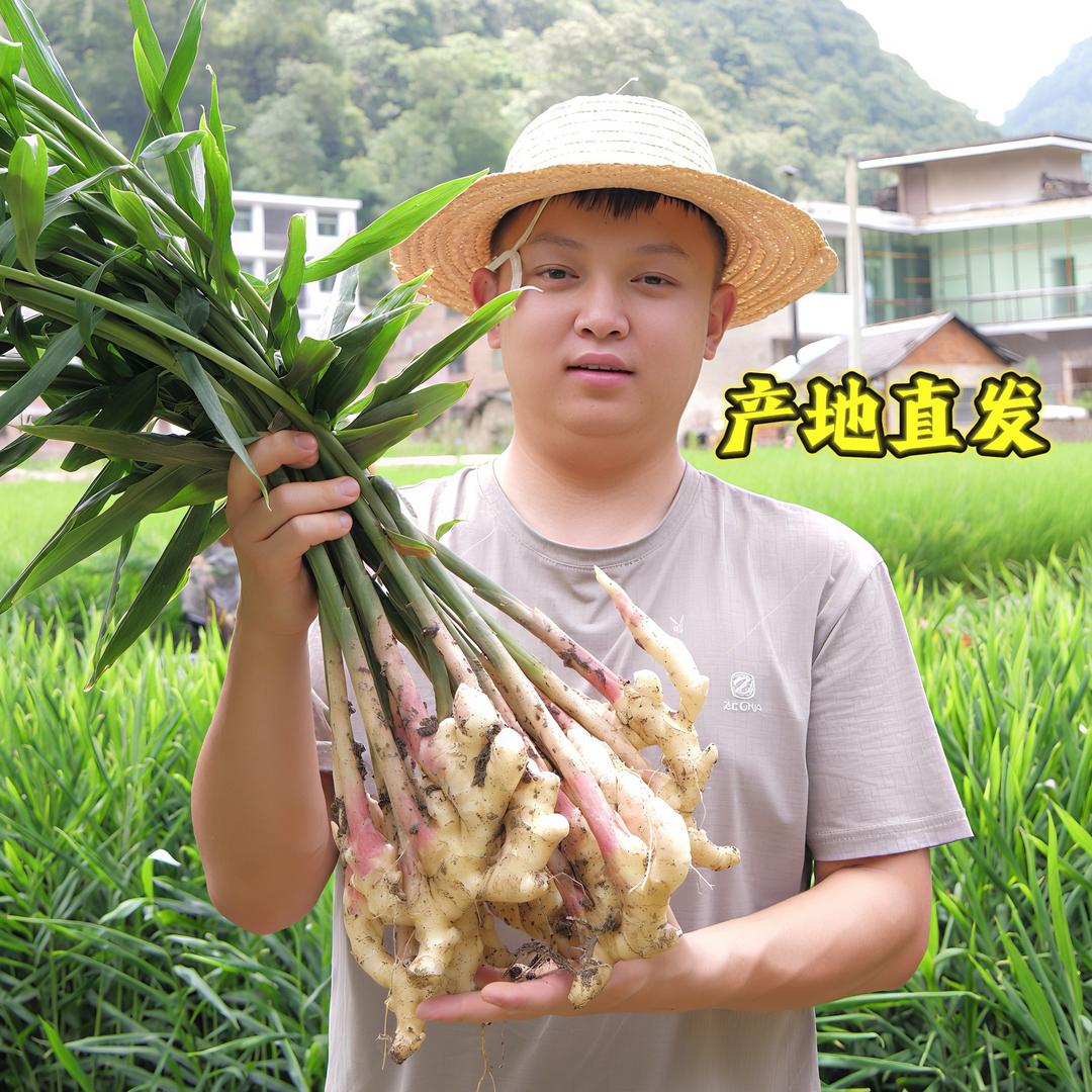 新农人草帽哥