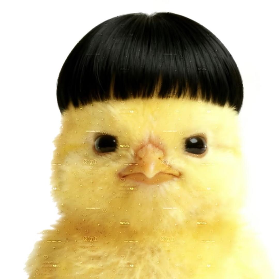 咕咕咕