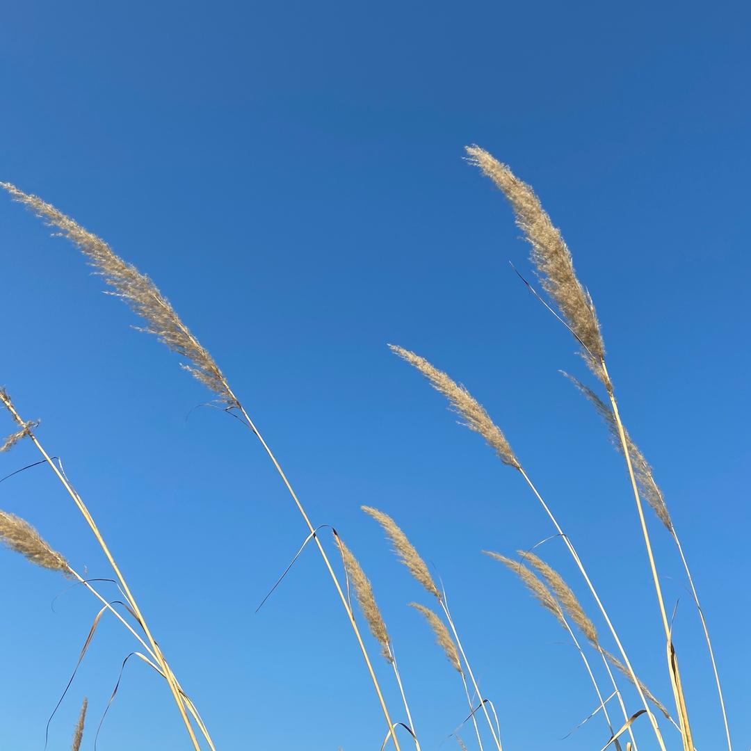 天天向上身体健康