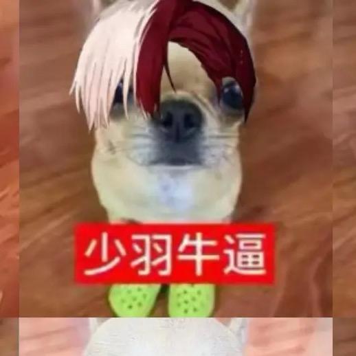 宋恩彩