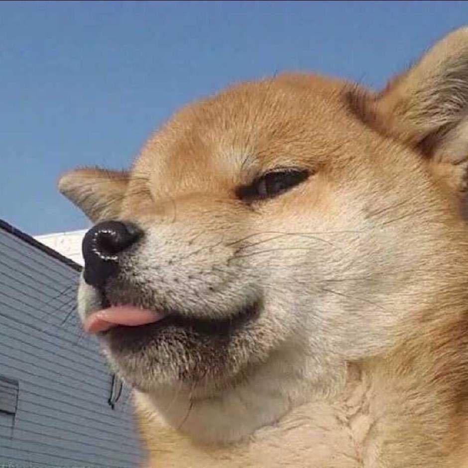 想要早睡