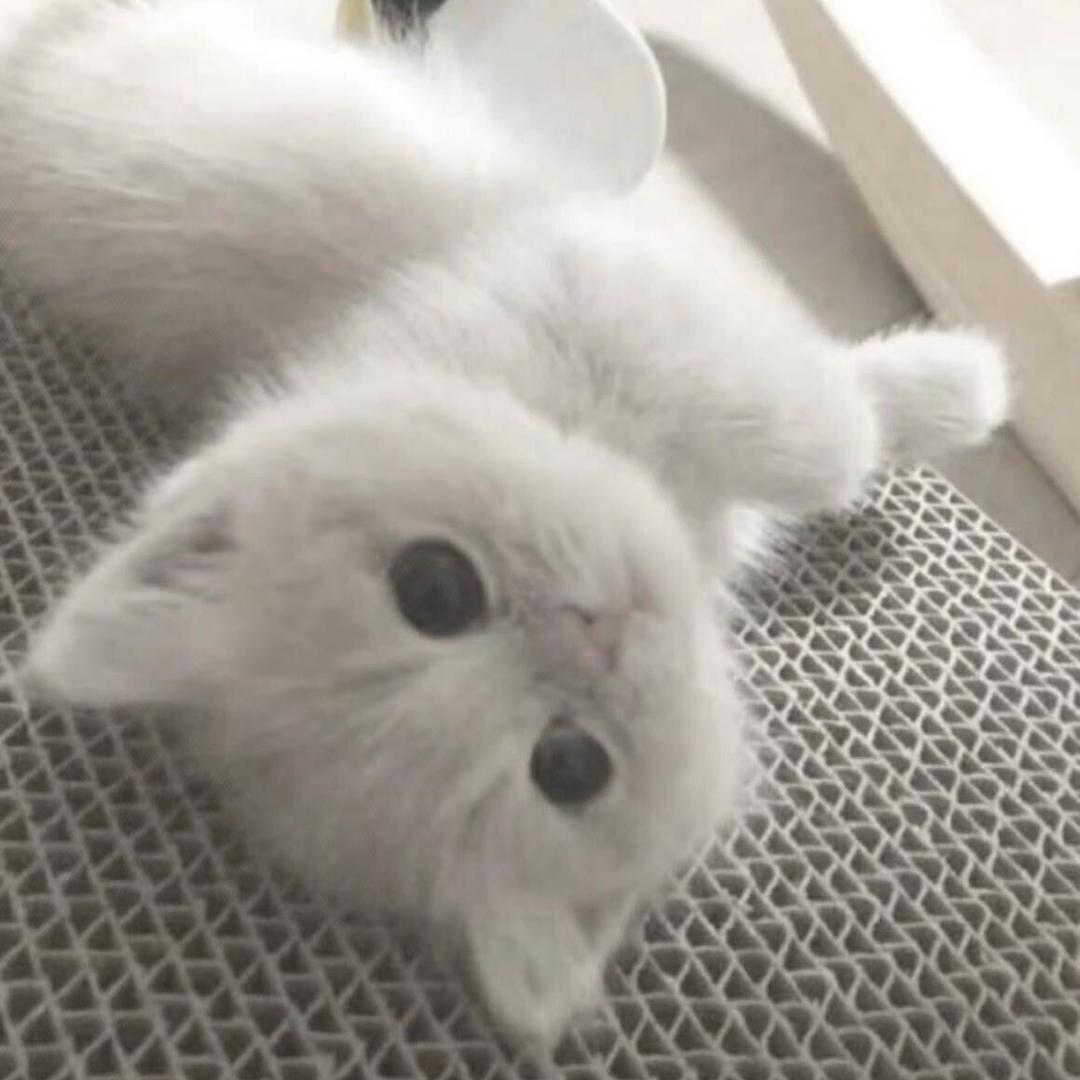 永远有多远