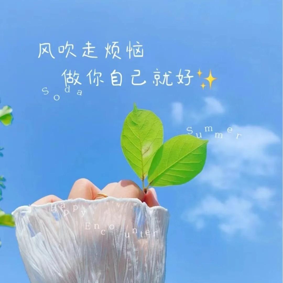 𝓦𝓪𝓷𝓰 ᥫᩣ