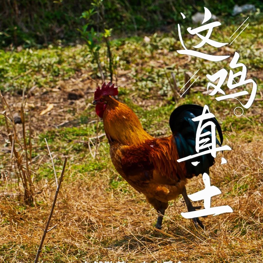 威仔农产品优品小铺