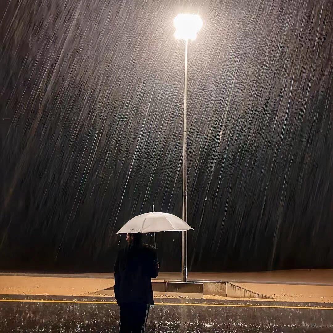 没有挽留，也没有回头