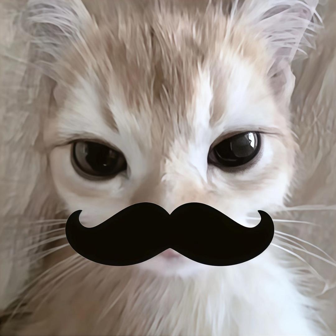 赫live show -四火