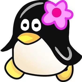 度尾湘溪老牌红心文旦柚