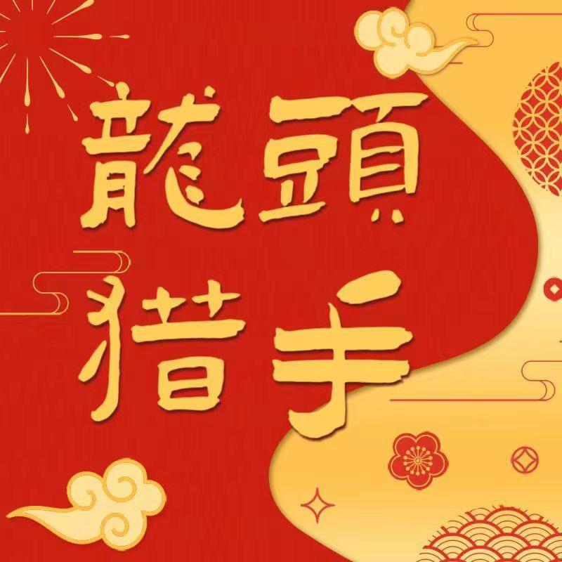 龙头猎手