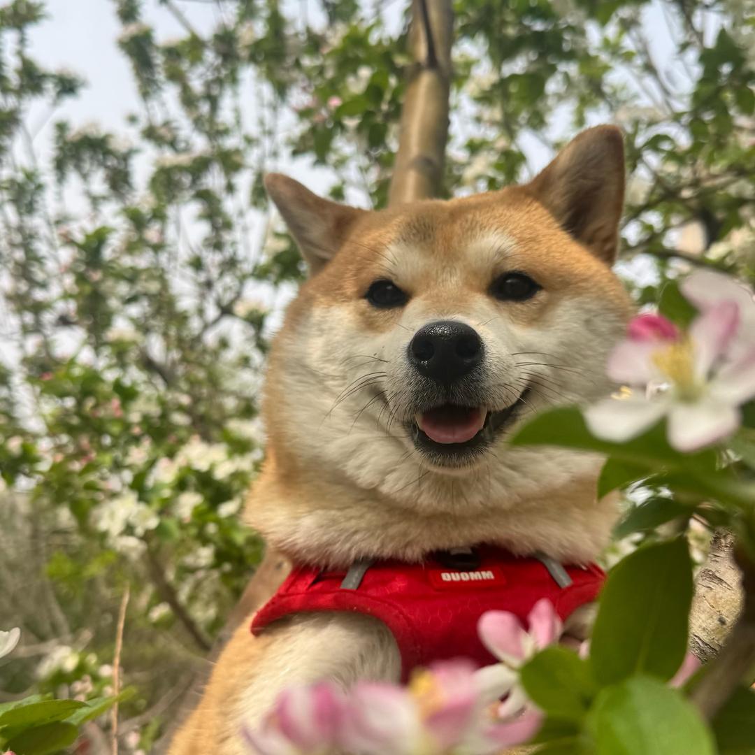 拾月