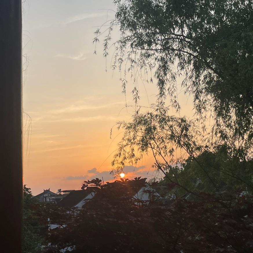 细闻风雨声