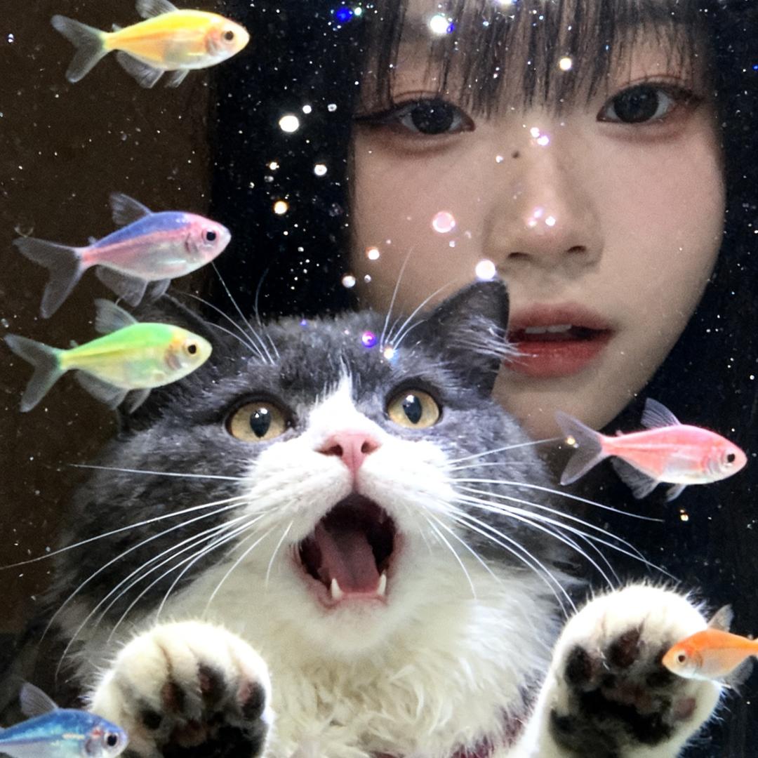 崽崽吖