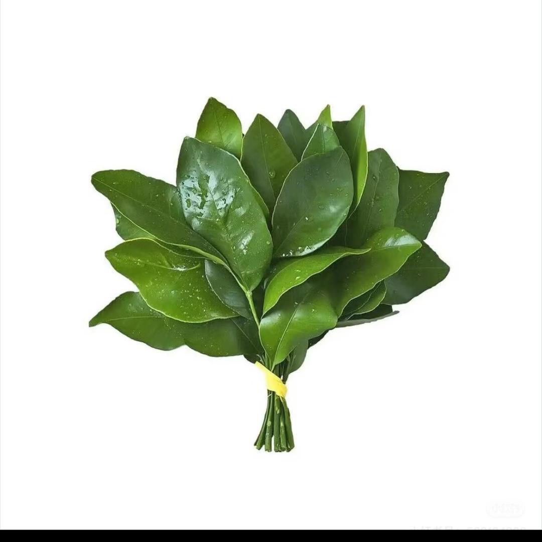 ·，