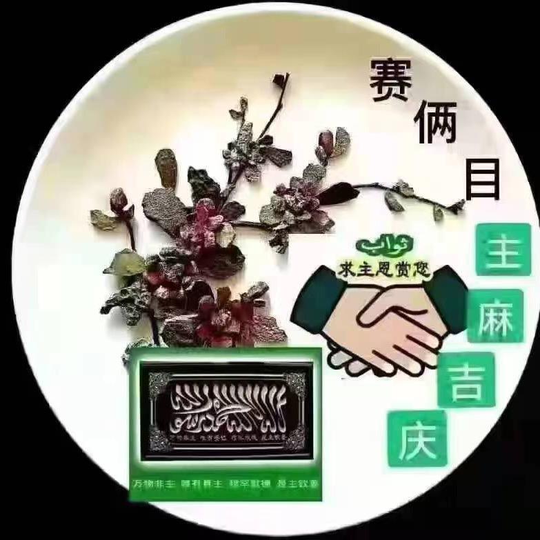 萨丽麦
