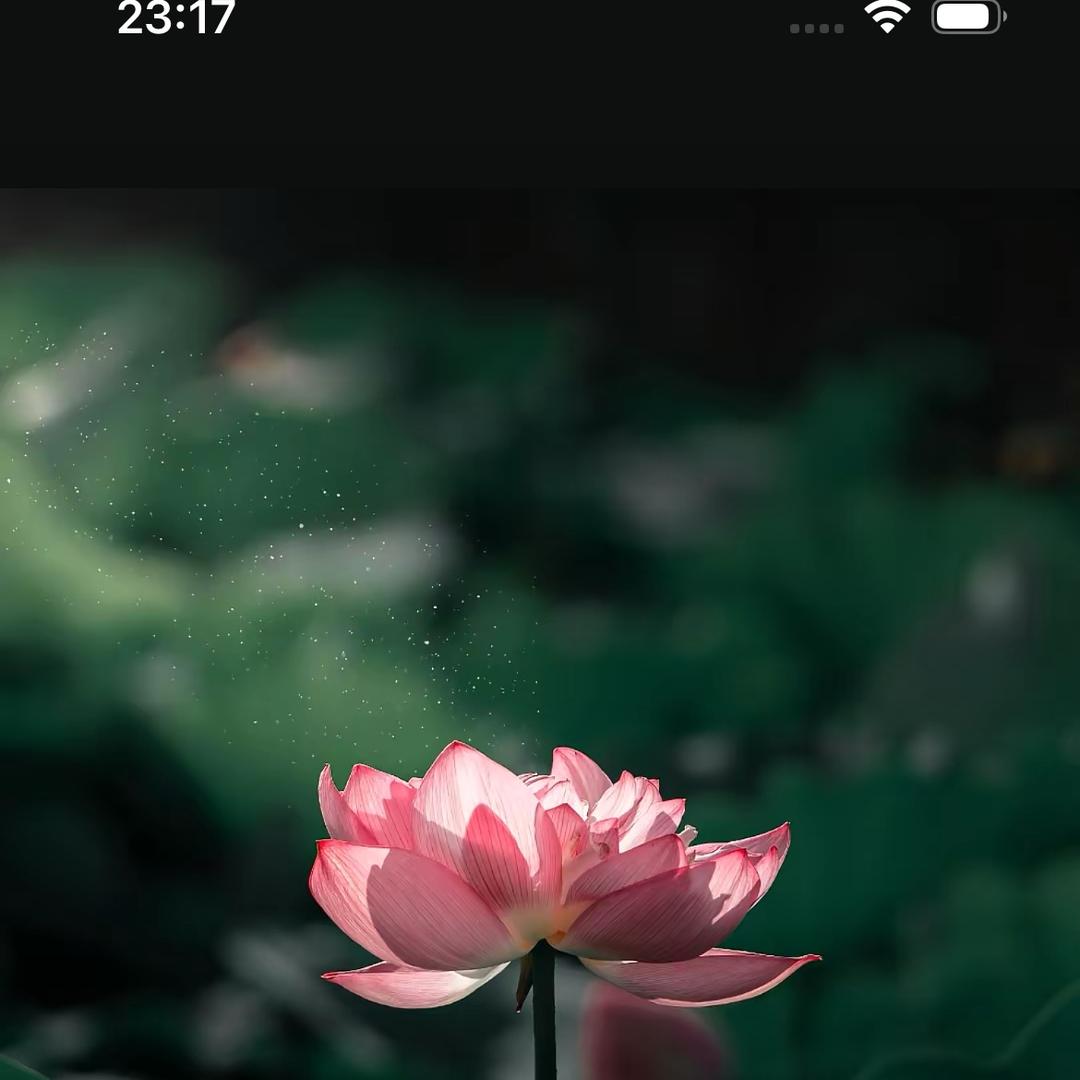 福养康健(瑶诗嘉)