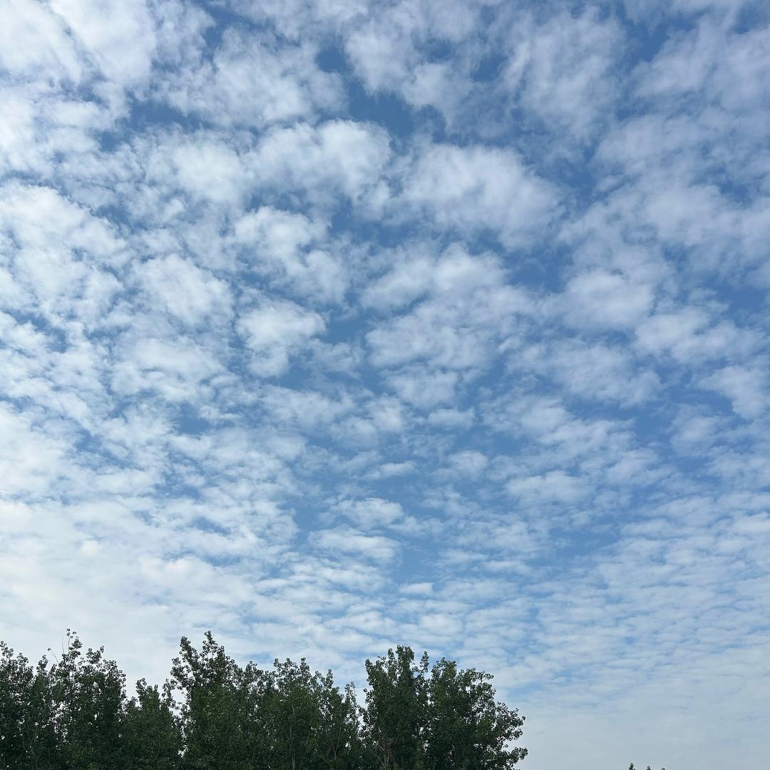 彤兮泽