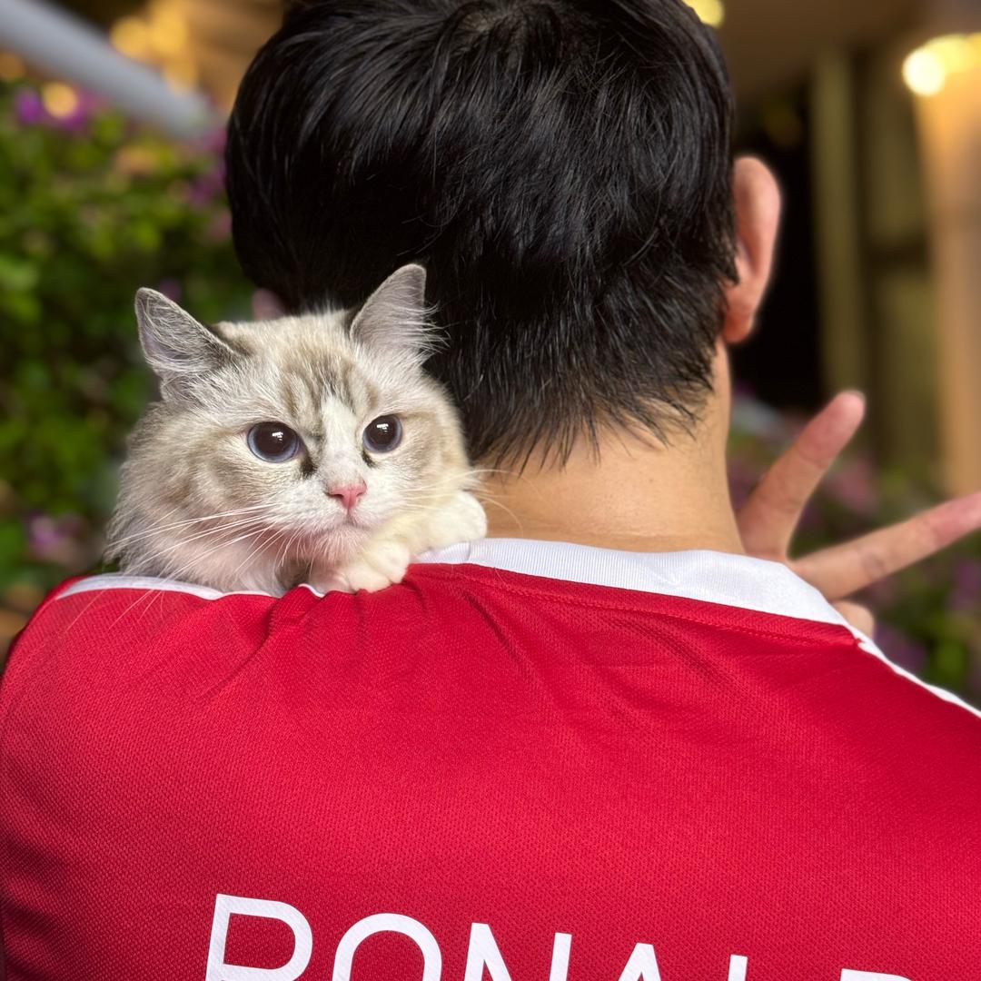 小奶瓶的大耳朵